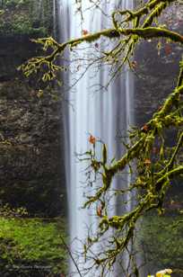 Silver Falls-1674.jpg Silver Falls-1674.jpg